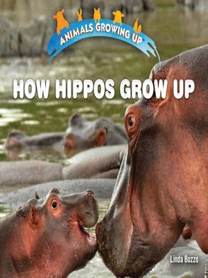 cover image of How Hippos Grow Up